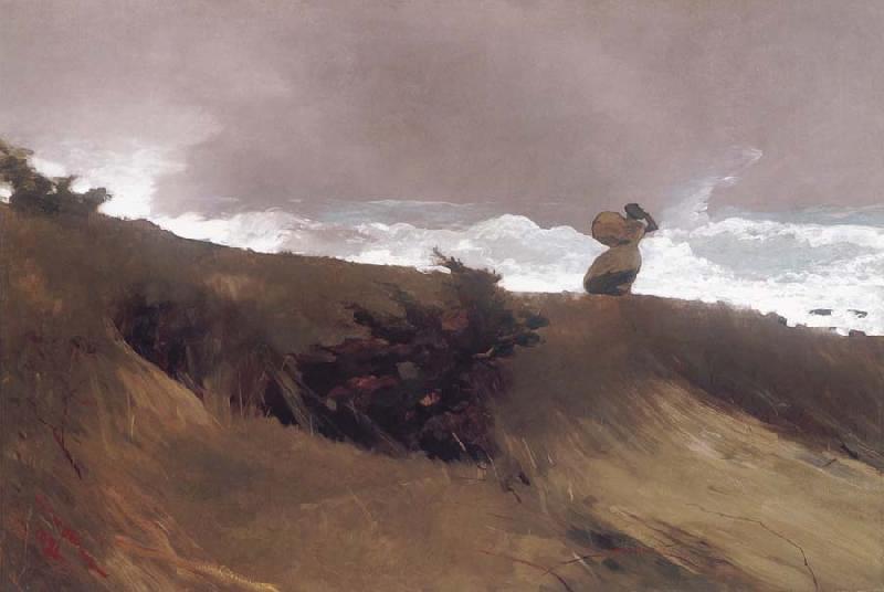 Winslow Homer The West Wind Germany oil painting art